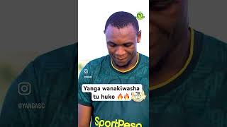 Yanga hawataki utani tena wako busy na tizi🔥🔥 ayomamedia [upl. by Arim]