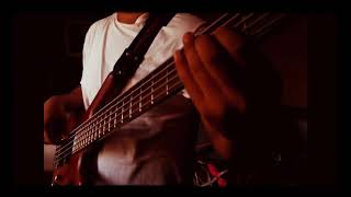 Lérida  corazón de piedra cover bass [upl. by Ayor]