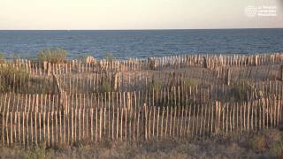 Aménagement du littoral  préserver la richesse naturelle [upl. by Ellierim]