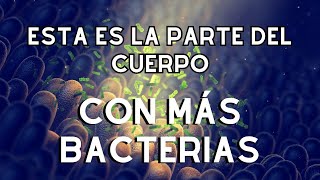 🦠 🧫 ¿Cuál es la PARTE del CUERPO HUMANO que tiene MÁS BACTERIAS 🦠🧫 [upl. by Elcarim782]