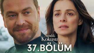 Sandık Kokusu 37 Bölüm sandikkokusudizi [upl. by Halsey]