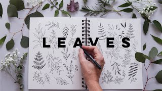 How to Draw Leaves and Botanicals  Relaxing Journaling Beginner [upl. by Onivag325]