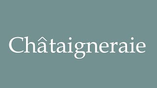 How to Pronounce Châtaigneraie Correctly in French [upl. by Eisnyl]