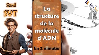 Lessentiel en 2 minutes sur la structure de la molécule dADN  SECONDE  SVT  adn seconde [upl. by Einnahc]