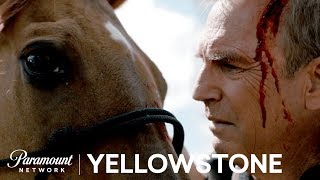 Welcome to the Yellowstone Official Trailer  Paramount Network [upl. by Jewel613]