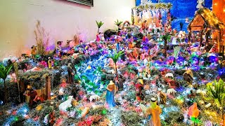 Nacimiento Del Niño Dios  Una Tradición Que Se Vive En Familia [upl. by Ssepmet]