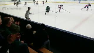 Zionsville Hockey Club Live Stream [upl. by Synn29]