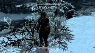 Skyrim Die Falsche Front Teil 1 [upl. by Amoakuh445]