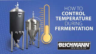 How to Keep Consistency During Fermentation [upl. by Truscott711]