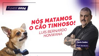 Obras Literárias Fuvest 2024 Nós Matamos o Cão Tinhoso [upl. by Noira]