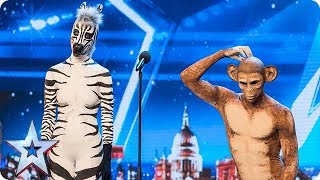 Is that a zebra dancing with a monkey  Auditions  BGT 2018 [upl. by Kentigerma]