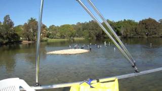 Green Powered Pontoon Boat Powered by low cost 55Ib iForce Marine Trolling Tiller motor [upl. by Hugon]