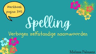 Nederlands 3ASO  LES 6 Spelling Verbogen Zelfstandige Naamwoorden [upl. by Wengert]