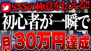 【Twitter運用】SNS副業で月30万円稼ぐために絶対やるべきこと５選を解説します【TikTok】【AI】 [upl. by Elia]