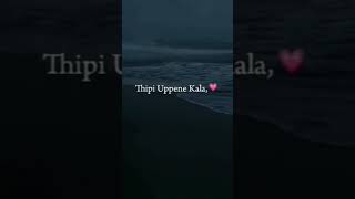 Undi pova nuvvila song lyricstrending song lyrics whatsappstatus undipova [upl. by Rabiah]