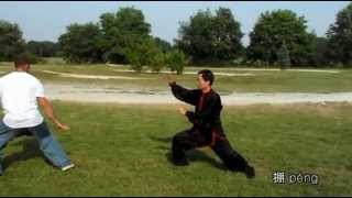 Taijiquan Eight Basic Energies Methods  Wang Fengming [upl. by Anabella]