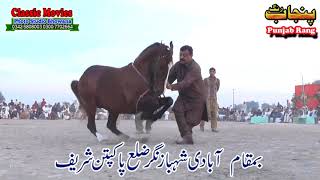 Horse Dance Jashne Bodla Bahar Day 2nd 2017 Abadi Shahbaz Nagar Pakpattan 26 [upl. by Odnolor115]