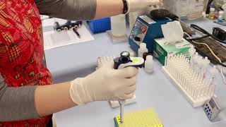 Assay Tips amp Tricks  Arbor Assays [upl. by Beau]