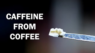 Extracting caffeine from coffee [upl. by Ettenuj]