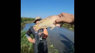 Top Fishing video 🐠 unbelievabl fishing  greatest Fishing video of all time 13 [upl. by Amata]