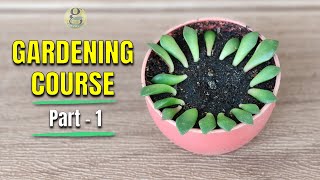 COMPLETE GARDENING COURSE – PART 1  GARDENING FOR BEGINNERS  LEARN GARDENING [upl. by Wakefield]