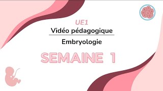 1° Semaine de développement  Vidéo Pédagogique UE 1 20242025 [upl. by Prent60]