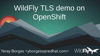 WildFly TLS demo [upl. by Irme37]