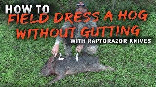 How to field dress a hog without gutting  Raptorazor knives [upl. by Aicekan349]