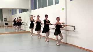 Lezione di Danza Classica  Pliés [upl. by Ebba]