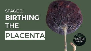 Stage 3 of Birth Birthing the Placenta  The Holistic Birth Podcast [upl. by Digirb538]