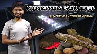 தண்ணி இல்லாமல் மீன் வளர்க்கலாமாவாங்க பார்க்கலாம் 🤯  Mudskipper Tank Setup [upl. by Ahsha]