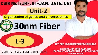 Heterochromatin Euchromatin  Chromosome  L4 Unit2 𝐆𝐞𝐧𝐞𝐬𝐢𝐬 𝐈𝐧𝐬𝐭𝐢𝐭𝐮𝐭𝐞 𝐨𝐟 𝐋𝐢𝐟𝐞 𝐒𝐜𝐢𝐞𝐧𝐜𝐞𝐬 [upl. by Yenitsed]