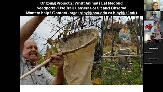 The Redbud Phenology Project Training Webinar 2024 [upl. by Aiciram]