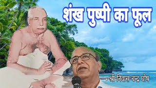 सत्संग कानपुर केंद्र में satsangdeoghar anukulthakurodiajajan anukulthakur motivation [upl. by Acirt]