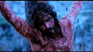 The Dolorous Passion of Our Lord Jesus Christ  Part 8 [upl. by Tina717]