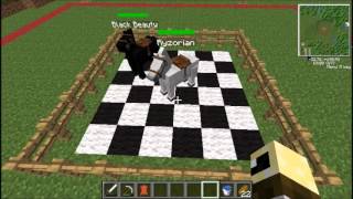 Mo Creatures Tutorial  how to breed your Horses in Mo Creatures 371 and later [upl. by Acinorej]