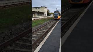 AVG 925 Einfahrt S41 nach Mosbach Baden in Bad Friedrichshall HBF [upl. by Joela]