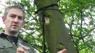 Bushcraft  Bungee Tarp Setup amp String Hammock Techniques [upl. by Bullough]