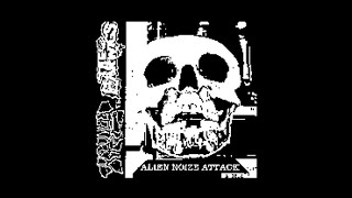 THE EARWIGS  GORGONIZED DORKS  Alien Noize Attack Split CDr 2011 Noisecore [upl. by Anerda]