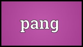 Pang Meaning [upl. by Hanselka9]