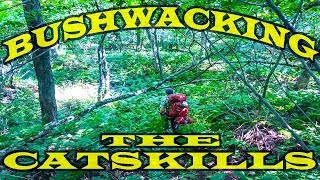 Bushwacking the Catskills  Big Indian Wilderness Traverse [upl. by Relyc743]