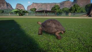 Planet Zoo  Aldabra Giant Tortoise [upl. by Llednek132]