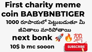 First charity meme coin BABYBNBTIGER🚀🔥🔥cryptocurrency [upl. by Naillik]