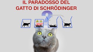 Quello che non sapevate sul gatto di Schrödinger [upl. by Daitzman]