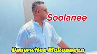 Dawite mokonenዳዊቴ መኮኒን soolanee New oromo music 2024 [upl. by Raimundo838]