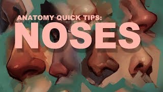 Anatomy Quick Tips Noses [upl. by Ecienahs]