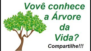 Moringa Oleifera a árvore da vida  Benefícios da Moringa para a saúde [upl. by Olrak]