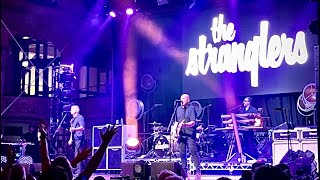 THE STRANGLERS Duchess Rebellion Festival BlackpoolEngland 2824 [upl. by Beryl]