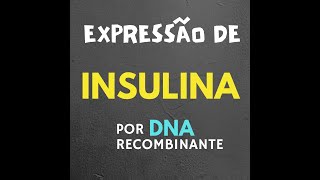 Expressão de Insulina por DNA recombinante [upl. by Kip]