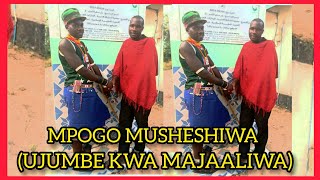 MPOGO MUSHESHIWAUJUMBE KWA MAJAALIWA [upl. by Oknuj]